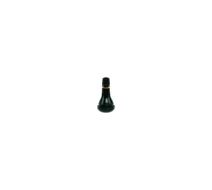 Valves TR415