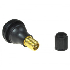 TR412 FS Valves GERMANY (per 100)