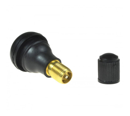 TR412 FS Valves GERMANY (per 100)