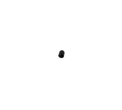 Black valve cap with gasket