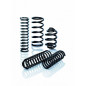 Veritas Certified Articulated Jaw Air Spring Compressor Veritas Certified Articulated Jaw Air Spring Compressor