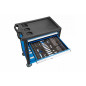Workshop trolley equipped with 6 drawers and 171 tools, for optimal storage. Superior quality.