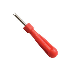 Ontmantelt schelpen
