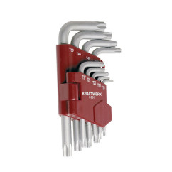 Satz mit 9 Torx-Schlüsseln