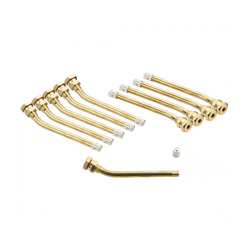 Valve pour PL V3.20.6 Type Michelin 1487 ou 119MS (sachet de 10) Valve pour PL V3.20.6 Type Michelin 1487 ou 119MS (sachet de 10)
