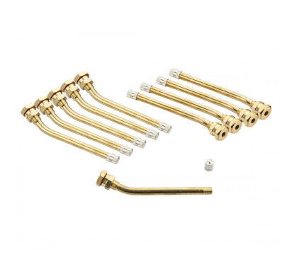Valvola per PL V3.20.6 Tipo Michelin 1487 o 119MS (confezione da 10)
