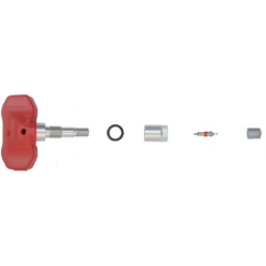Valve à visser grise avec capteur TPMS universel 433 Mhz (x2)