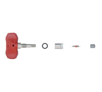 Valvola a vite grigia con sensore TPMS universale 433 Mhz (x2)