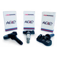 Valve à visser grise avec capteur TPMS universel 433 Mhz (x2)